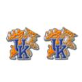 University of Kentucky Stud Earrings