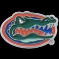 Florida Gators Team Logo Pin