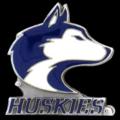 University of Washington Huskies Team Logo Pin