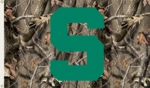 Michigan State Spartans 3' x 5' Flag w/Grommets - Realtree Camo