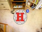 University of Hartford Hawks Soccer Ball Rug