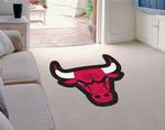 Chicago Bulls Mascot Mat