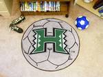 University of Hawaii Warriors Soccer Ball Rug
