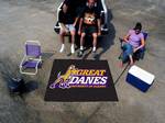 University at Albany Great Danes Tailgater Rug