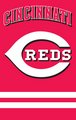 Cincinnati Reds 44" x 28" Applique Banner Flag