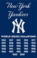 New York Yankees Championships 44" x 28" Applique Banner Flag