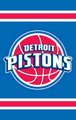 Detroit Pistons 44" x 28" Applique Banner Flag