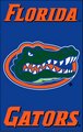 University of Florida 44" x 28" Applique Banner Flag