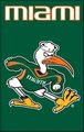 University of Miami with Ibis 44" x 28" Applique Banner Flag