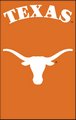 University of Texas 44" x 28" Applique Banner Flag
