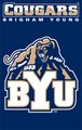 Brigham Young University (BYU) 44" x 28" Applique Banner Flag