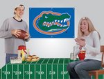 University of Florida Party Kit