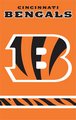 Cincinnati Bengals 44" x 28" Applique Banner Flag - Orange