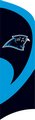 Carolina Panthers Tall Team Flag with pole