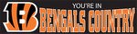 Cincinnati Bengals Giant 8' X 2' Nylon Banner