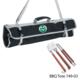 Colorado State University Printed 3 Piece BBQ Tote set