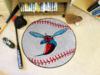 Delaware State University Baseball Rug