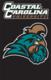 Coastal Carolina Chanticleers 44" x 28" Applique Banner Flag