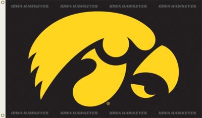 Iowa Hawkeyes 3' x 5' Flag with Grommets - Logo - Click Image to Close