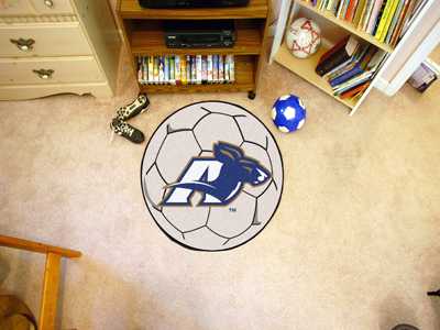 University of Akron Zips Soccer Ball Rug - Click Image to Close