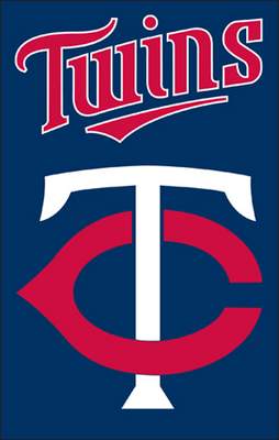 Minnesota Twins 44" x 28" Applique Banner Flag - Click Image to Close