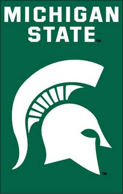 Michigan State University 44" x 28" Applique Banner Flag - Click Image to Close