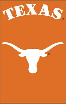 University of Texas 44" x 28" Applique Banner Flag - Click Image to Close