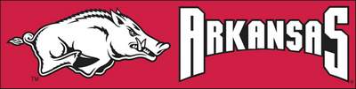 University of Arkansas Giant 8' X 2' Nylon Banner - Click Image to Close