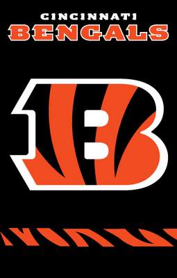 Cincinnati Bengals 44" x 28" Applique Banner Flag - Black - Click Image to Close