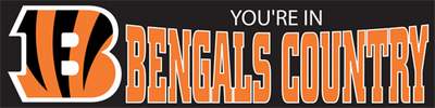 Cincinnati Bengals Giant 8' X 2' Nylon Banner - Click Image to Close