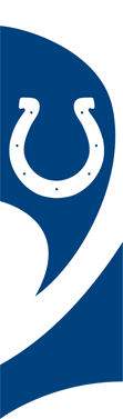 Indianapolis Colts Tall Team Flag with pole - Click Image to Close